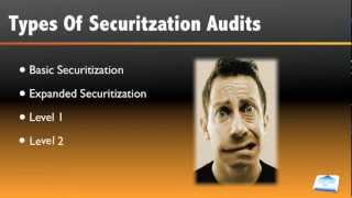 Securitization Audits VID