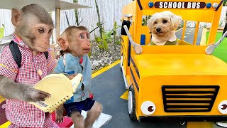 Bim Bim Rides The Bus With Duckling And Baby Monkey Obi Carefully Preparing Books For School