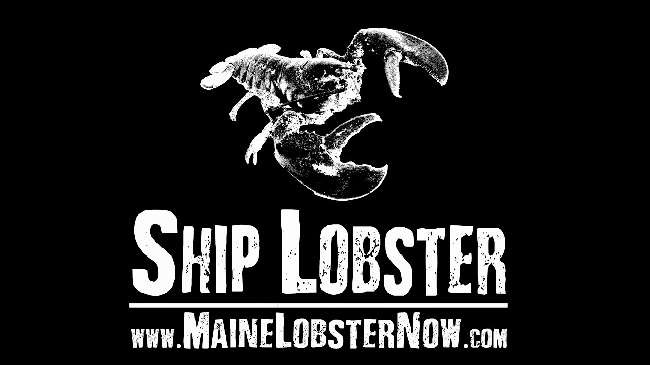 lobster roll food truck dallas Maine Lobster Now - Owner Bio