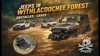 Jeep Off-Roading Withlacoochee Forest (Citrus / Inverness) | Water Crossings & Caves | 4LowPhoto