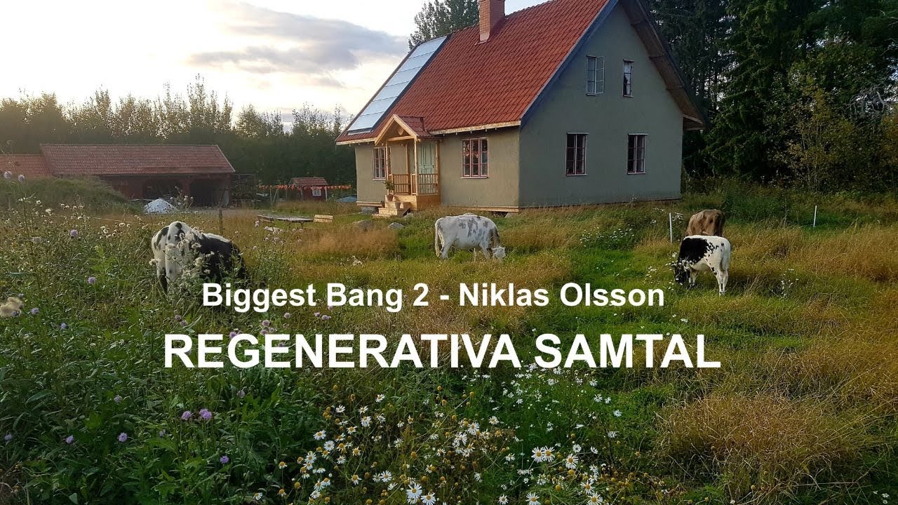 Biggest Bang 2   Niklas Olsson