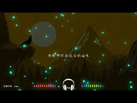 2021華語網絡流行音樂 ||《往事不回》|| 蘇譚譚 || 動態歌詞