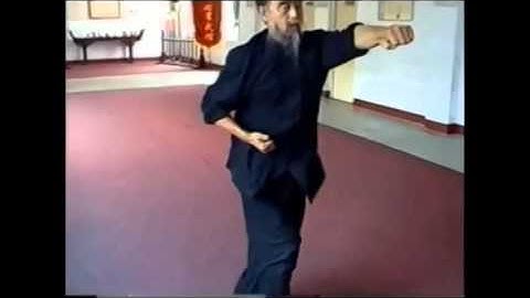Master Yu Tian Lu - Fan Che 翻车  (Qi Xing Tang Lang quan)