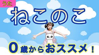ねこのこ