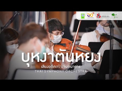 บุหงาตันหยง | Thai Symphony Orchestra