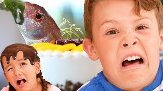 Do You Like Crazy Food (Pickle Pancakes) | Nursery Rhymes | Kids Songs