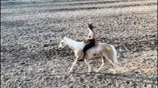 EhCapa Bareback Riders - Elmore County Rodeo July 17, 2024, Glenn’s Ferry, ID