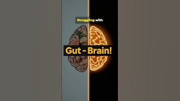 Gut-Brain Connection: Foods That Clear Brain Fog Fast