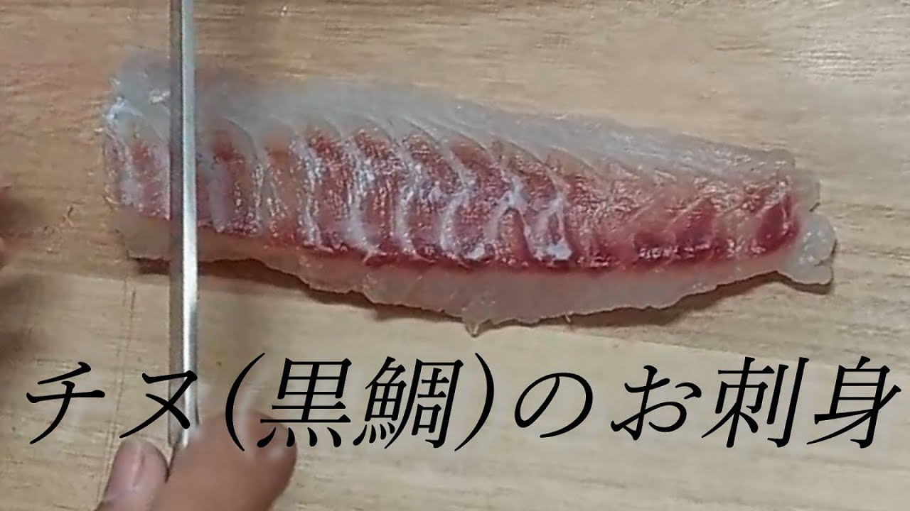 夜のカゴ釣り チヌ 黒鯛 を釣り 捌いて刺身にして食べてみる Youtube 夜のカゴ釣り チヌ 黒鯛 を釣り 捌いて刺身にして食べてみる Youtube