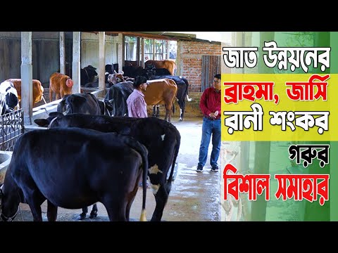 Atbasarda jinsiy aloqa