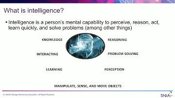 Your Storage Infrastructure on AI