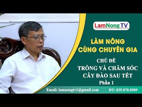 Kỹ thuật trồng và chăm sóc cây đào sau Tết – Phần 1 || LÀM NÔNG CÙNG CHUYÊN GIA mới nhất 2023