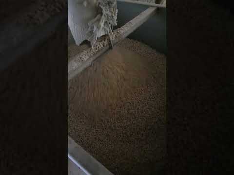 ابتدای سالن محل هاپر ها انتقال دهنده دان کلا مرغداری نیمه اتوماتیک حساب میشه پرورشش خوبه