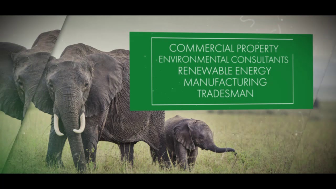 Evergreen Insurance Services A New World of Insurance Evergreen Insurance Services A New World of Insurance