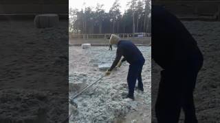 Укладка грунтового покрытия (еврогрунт) в конноспортивном комплексе «Город спорта», Дзержинск / 3 Укладка грунтового покрытия (еврогрунт) в конноспортивном комплексе «Город спорта», Дзержинск / 3