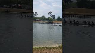 Dragon Boat Race! 🐲 #DragonBoatRace #Shorts