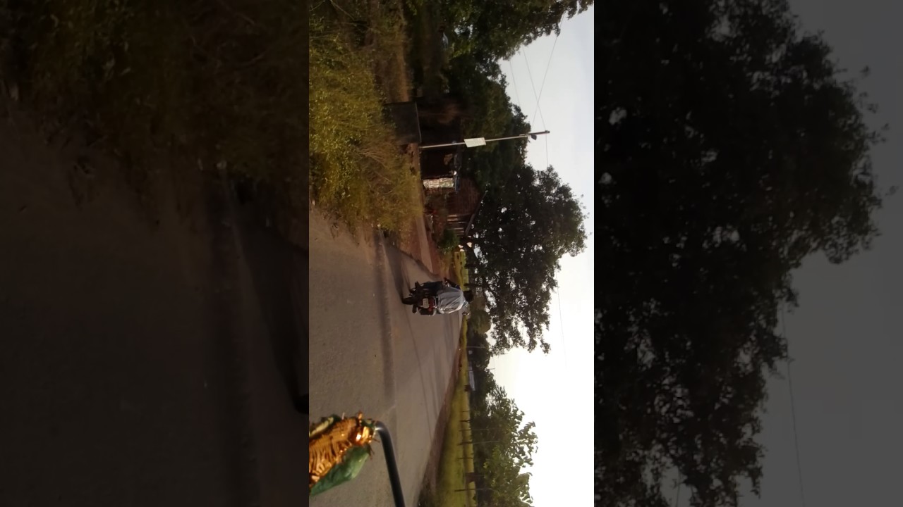 A Ride On The Deadly road of odisha where one student died due to accident