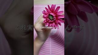 お砂糖でできたお花 #sugarcraft #flowers #手作り #ハンドメイド
