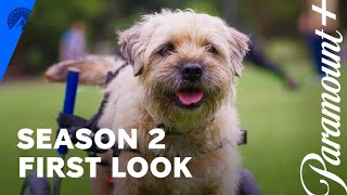 Colin From Accounts | Season 2 First Look | Paramount+
