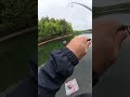 This Braid Delivers Every Time #Fishing #FishingVideos #FishingContent
