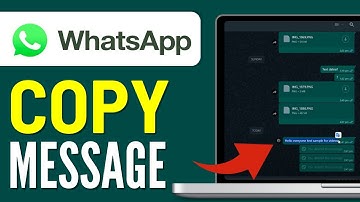 How to Copy Message in WhatsApp Web (2025) - Easy Method