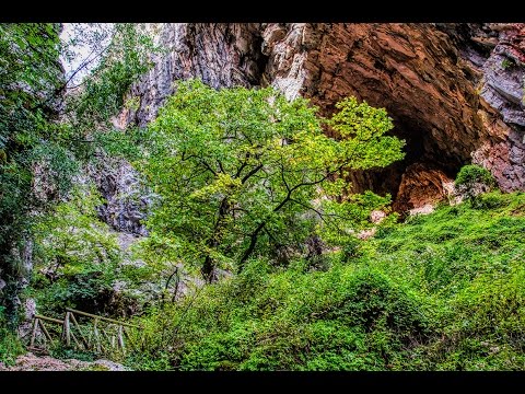 Βίντεο: Ξύλινα σπήλαια για τα μικρά