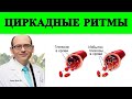 2 ч. Как циркадные ритмы влияют на уровень сахара в крови - доктор Майкл Грегер