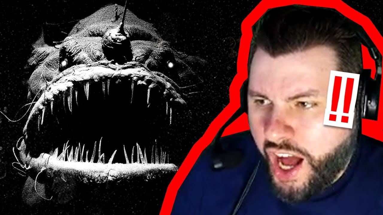 This Little Masterpiece TERRIFIED Tasteless! • IRON LUNG FULL