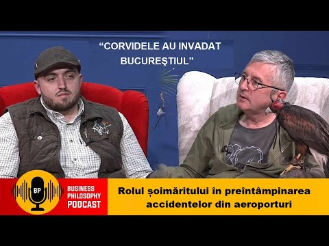 Rolul șoimăritului în preîntâmpinarea accidentelor din aeroporturi