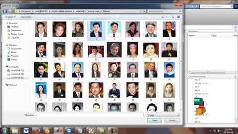 Quaternion-Michelson Descriptor for Color Image Classification | Final Year Projects 2016 - 2017