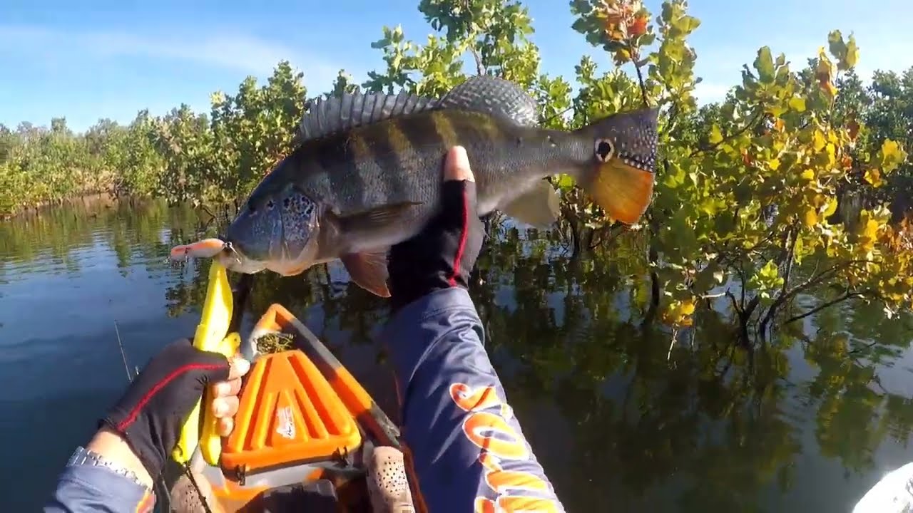 60 UP em Serra da Mesa #caiaqueiros
