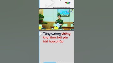 Tăng cường chống khai thác hải sản bất hợp pháp