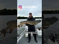 1 fish, 2 fish. May the best fisher avoid the washer. #RBNY #footballshorts #soccershorts #fishing