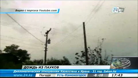 Санто Антонио да Платино пережил «дождь из пауков»