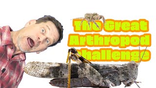 WHAT is an arthropod? Learn the characteristics & test your biology knowledge! by Science Up with the Singing Zoologist 1,840 views 2 years ago 4 minutes, 40 seconds