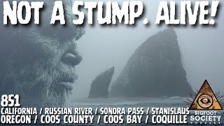 The Stump Stood Up — And Charged the Boat! | Oregon | Bigfoot Society 851