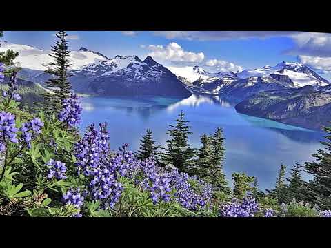 Berg Romanze (Henry Arland)Instr.