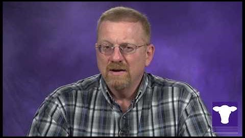 VFD: What will the Veterinary Feed Directive cost me?