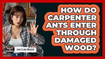 How Do Carpenter Ants Enter Through Damaged Wood? - Insects and Invaders