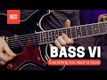 Bass VI - Everything You Need To Know
