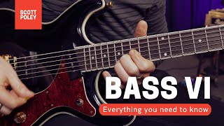 Bass VI  Everything You Need To Know