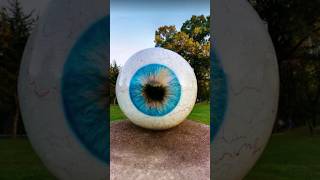 The Largest Eye in Animal Kingdom Found on Google Earth | Trivia ? shorts