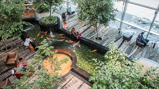 Koi Pond | Free Attractions at Singapore Changi International Airport