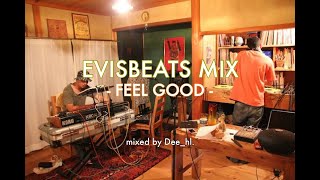 EVISBEATS MIX   FEEL GOOD  / mixed by Dee_hl.【Mixed Channel】