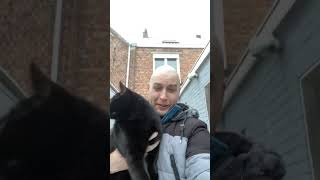Black cat first time in the snow !