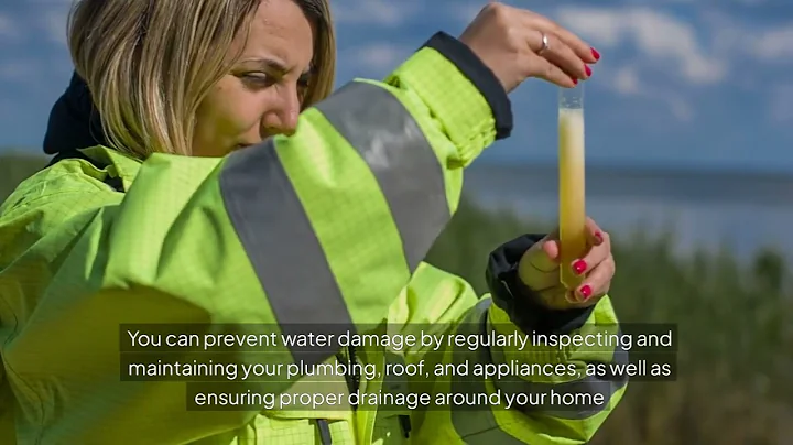 water damage restoration quote Bellevue