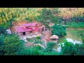 Time laps  100 day building farming  wooden house  diy  bamboo  harvest go to market farming