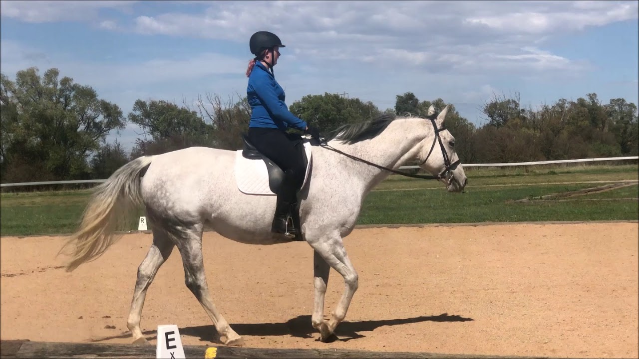 ultrascan ballymount