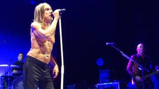 Iggy Pop - China Girl - Stockholm 2016