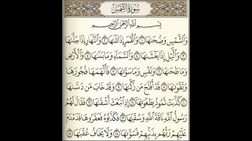 سورة الشمس //الشيخ محمد علي السلاموني//  رمضان 1443